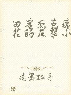田蜜杰克迈克校花的反击小说 田蜜杰克迈克校花的反击小说