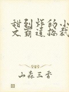 甜到炸的小说宠文霸道总裁 甜到炸的小说宠文霸道总裁