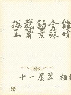 总裁的全能型兵王萧晨苏晴