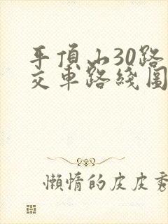 平顶山30路公交车路线图