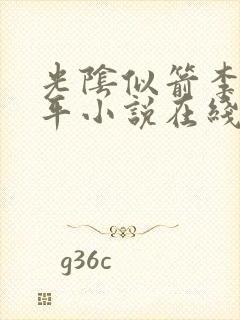光阴似箭李艳傅平小说在线阅读