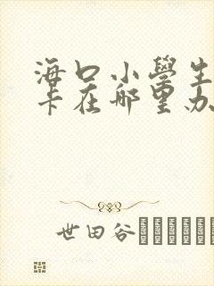 海口小学生公交卡在哪里办