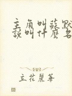 主角叫苏默的小说叫什么名字