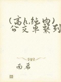 (高h,纯肉)公交车系列
