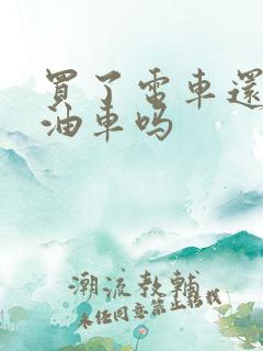 买了电车还能买油车吗
