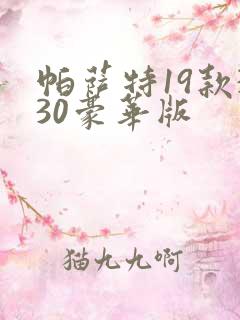 帕萨特19款330豪华版