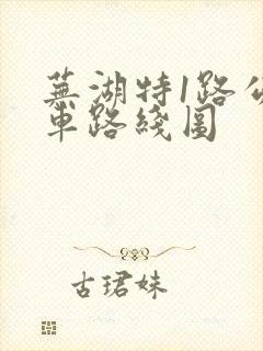 芜湖特1路公交车路线图