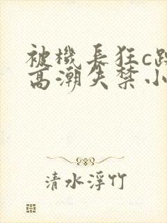 被机长狂c躁到高潮失禁小说