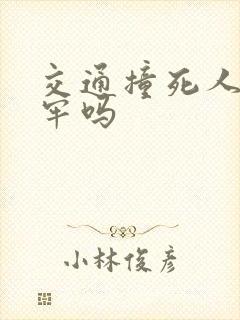 交通撞死人会坐牢吗