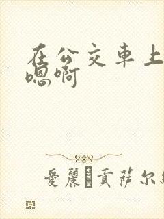 在公交车上嗯啊嗯啊