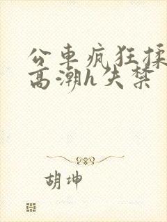 公车疯狂揉肉蒂高潮h失禁