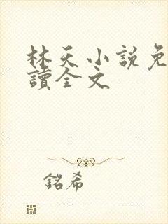 林天小说免费阅读全文