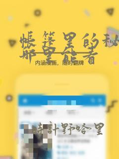 帐篷里的秘密在哪里能看