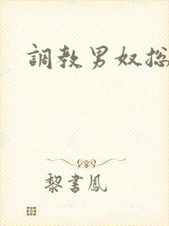 调教男奴总裁受