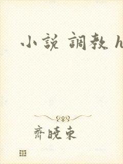 小说 调教 h