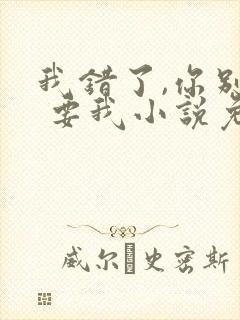 我错了,你别不 要我小说免费阅读