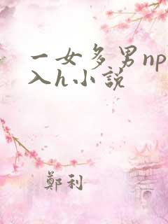 一女多男np慎入h小说