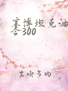 赛博坦克油电混合300 赛博坦克油电混合300