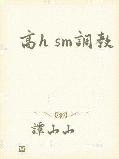 高h sm调教