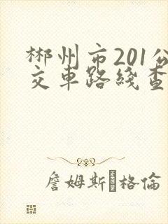 郴州市201公交车路线查询
