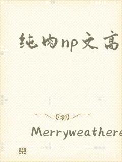 纯肉np文高h