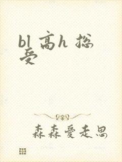 bl 高h 总受