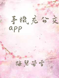 手机充公交卡的app