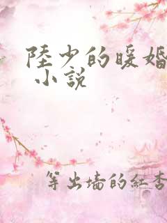 陆少的暖婚新妻 小说