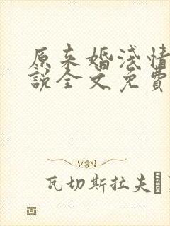 原来婚浅情深小说全文免费 原来婚浅情深小说全文免费