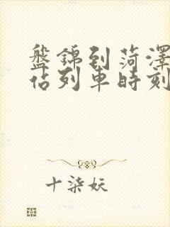 盘锦到菏泽火车站列车时刻表