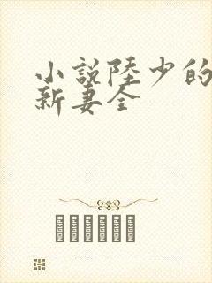 小说陆少的暖婚新妻全