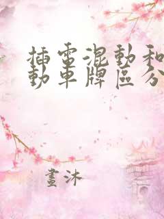 插电混动和纯电动车牌区分