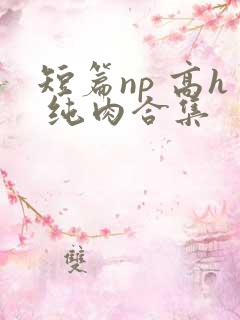 短篇np 高h 纯肉合集