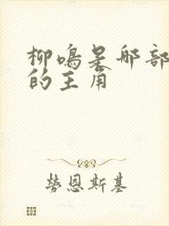 柳鸣是哪部小说的主角
