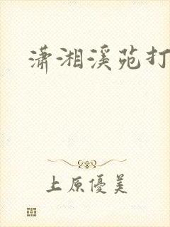 潇湘溪苑打屁股