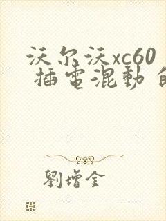 沃尔沃xc60 插电混动 的报价
