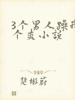 3个男人躁我一个爽小说