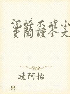沉醉不醒小说免费阅读全文无弹窗