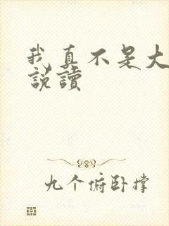 我真不是大佬小说读