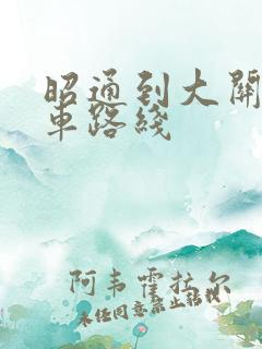 昭通到大关公交车路线