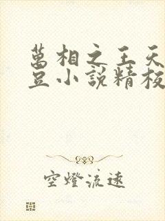 万相之王天蚕土豆小说精校版全集txt