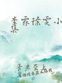 李霖徐雯小说全集
