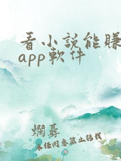 看小说能赚钱的app软件