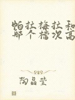 帕拉梅拉和卡宴哪个档次高