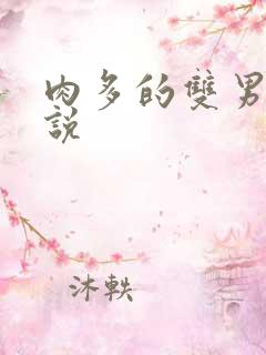 肉多的双男主小说