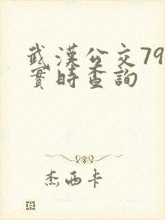 武汉公交79路实时查询