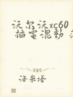 沃尔沃xc60 插电混动 落地价