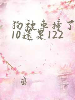 狗被车撞了报110还是122