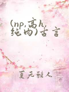 (np,高h,纯肉)古言