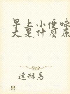 早上小便味道很大是什么原因